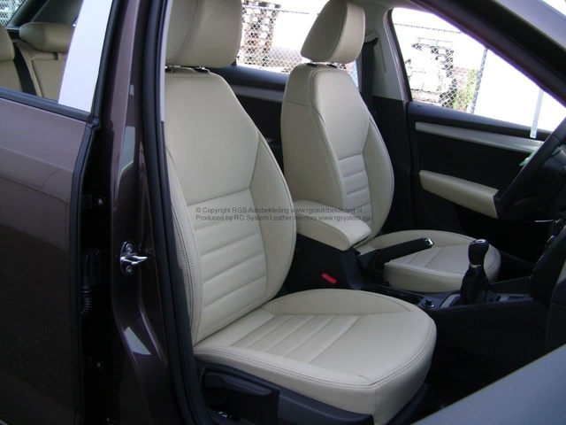 Octavia 2014 Greenline RGS Elan 125 (2)