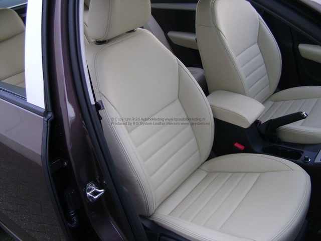 Octavia 2014 Greenline RGS Elan 125 (3)